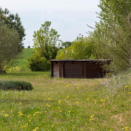 La Decouverte, Jacuzzi, Sauna, Et Terrasse Avec Vue Sur Lac A La Campagne Entre Toulouse Et Auch Villa Catonvielle Екстериор снимка