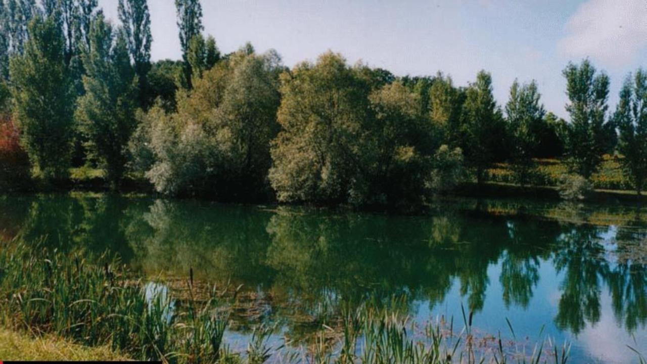 La Decouverte, Jacuzzi, Sauna, Et Terrasse Avec Vue Sur Lac A La Campagne Entre Toulouse Et Auch Villa Catonvielle Екстериор снимка