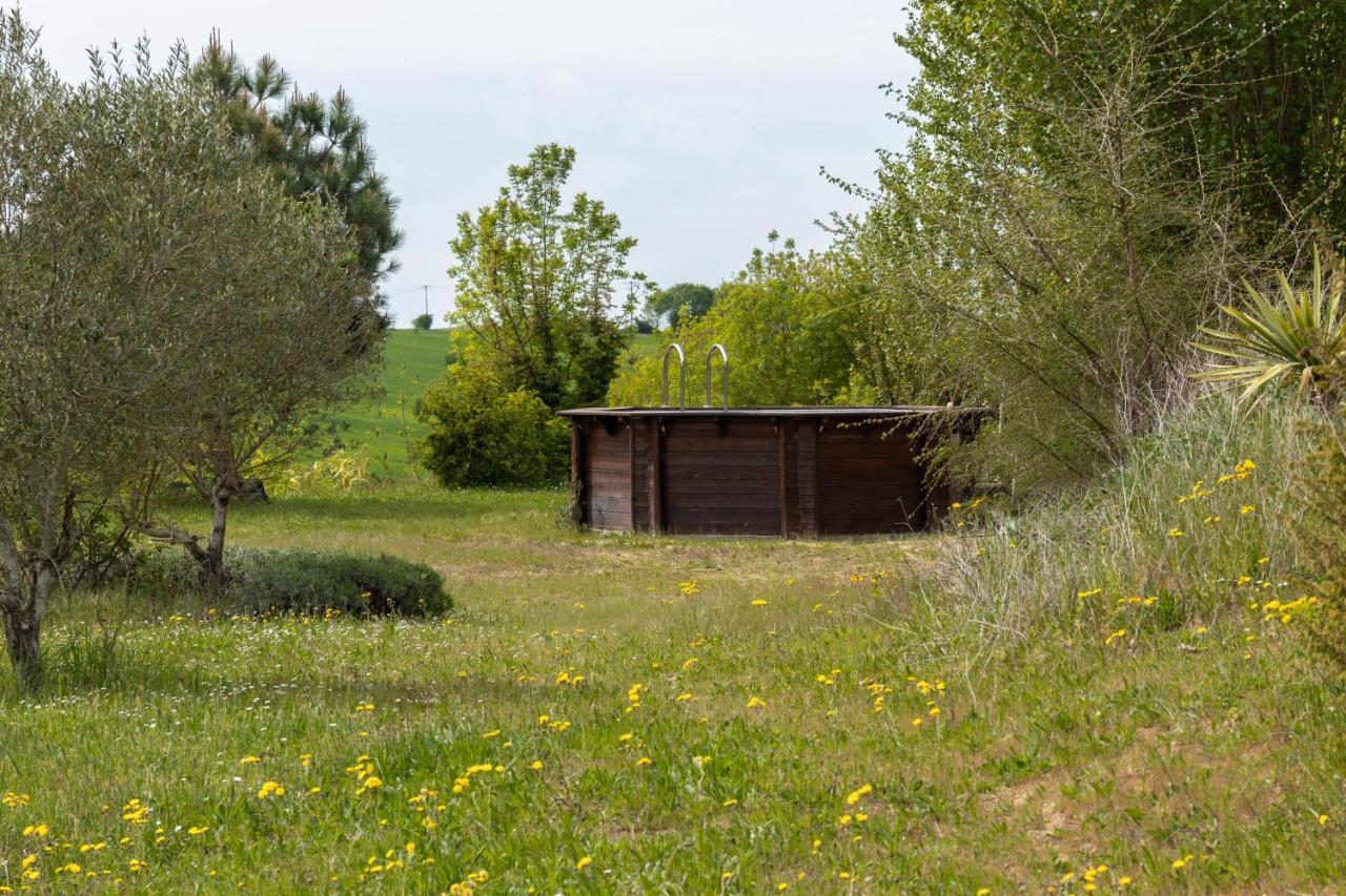 La Decouverte, Jacuzzi, Sauna, Et Terrasse Avec Vue Sur Lac A La Campagne Entre Toulouse Et Auch Villa Catonvielle Екстериор снимка