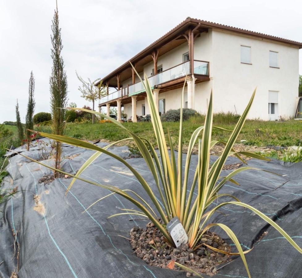 La Decouverte, Jacuzzi, Sauna, Et Terrasse Avec Vue Sur Lac A La Campagne Entre Toulouse Et Auch Villa Catonvielle Екстериор снимка